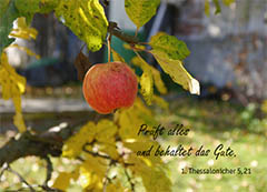 Postkarte Jahreslosung